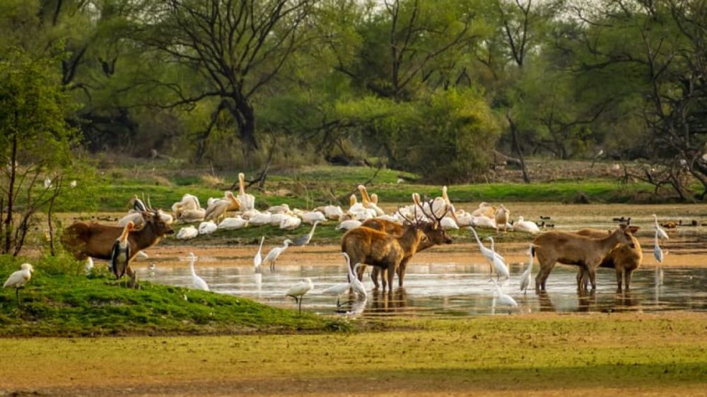 Khirganga-National-Park